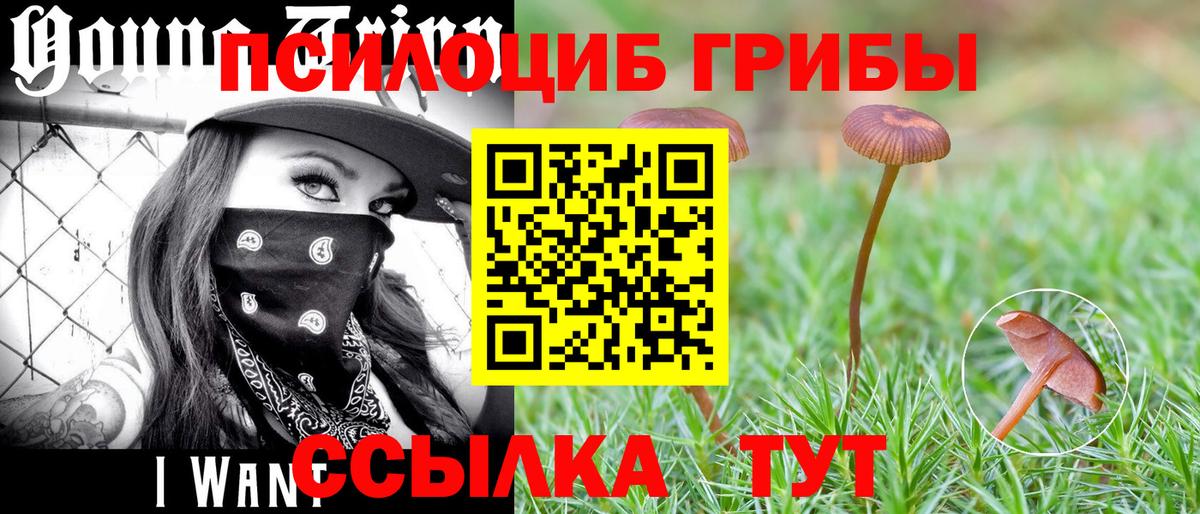 Галлюциногенные грибы ЛСД Губкин